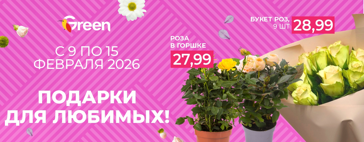 main slider image caption