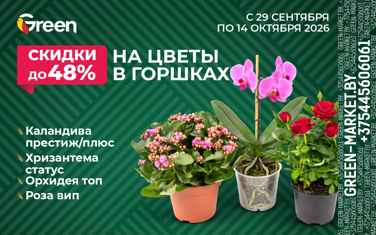 Скидки до 48% на цветы в горшках в GREEN 🌿