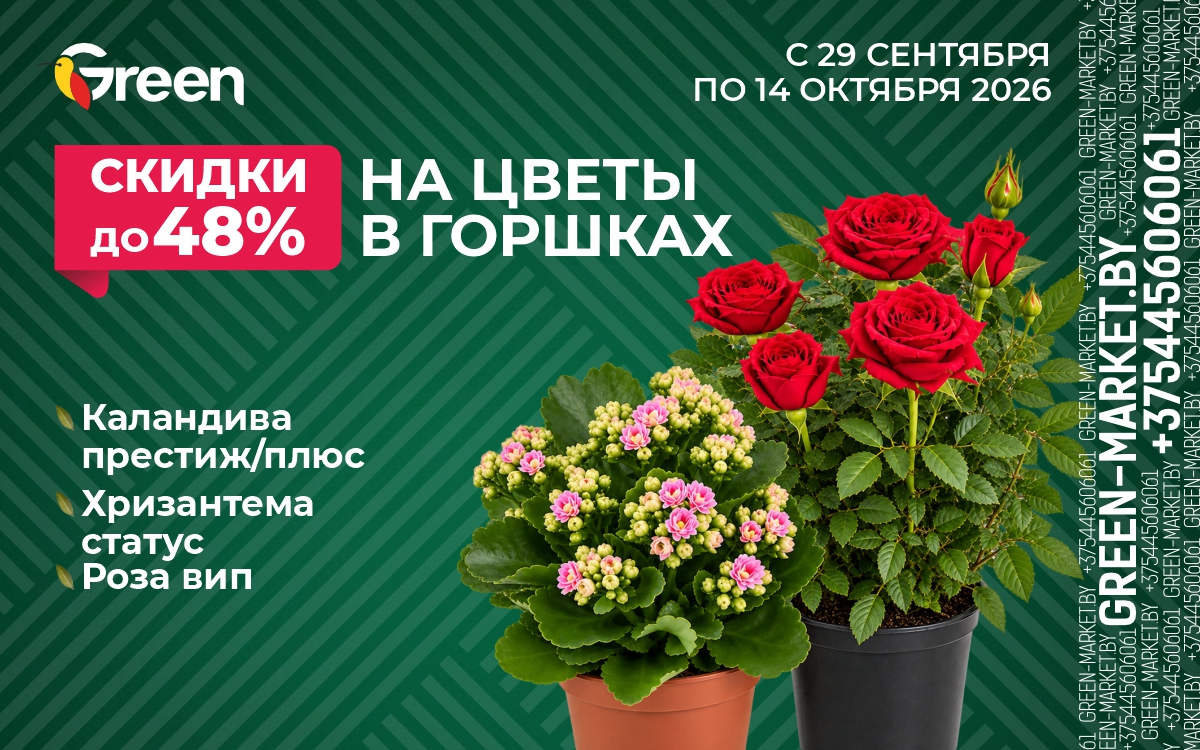 Скидки до 48% на цветы в горшках в GREEN 🌿