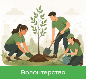 Волонтерство