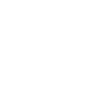 PRIME STEAK